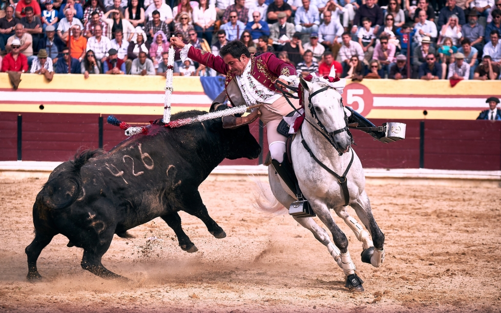 Filipe Gonçalves_Salvaterra