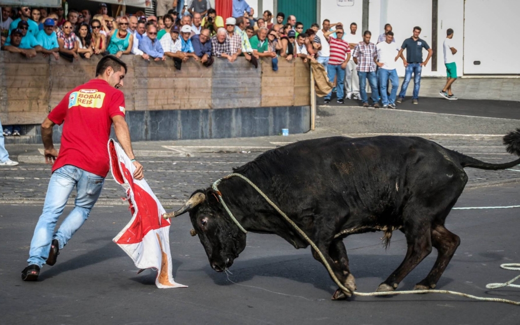 Tourada-a-corda