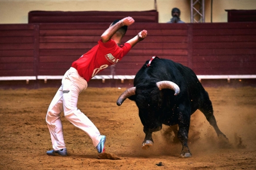 dia-da-tauromaquia-recortadores1