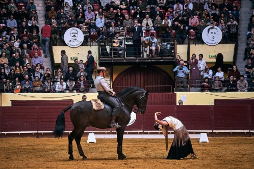 dia-da-tauromaquia-equestre